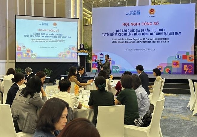 Report on 30 years of implementation of Beijing Declaration and Platform for Action released